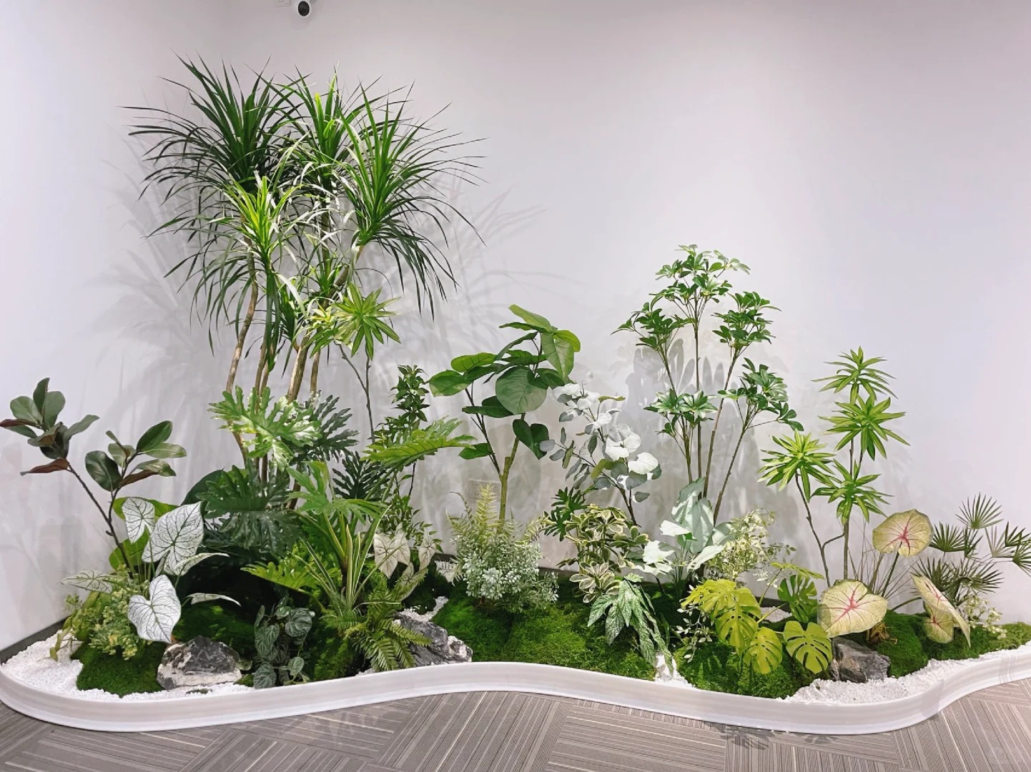 专业铸就品质，海曙绿植租摆的魅力你不可错过